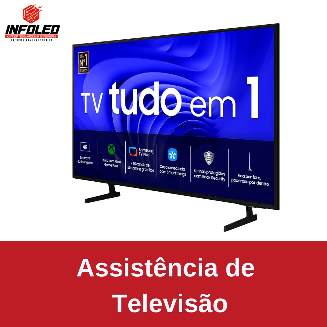 ASSISTÊNCIA DE TELEVISÃO