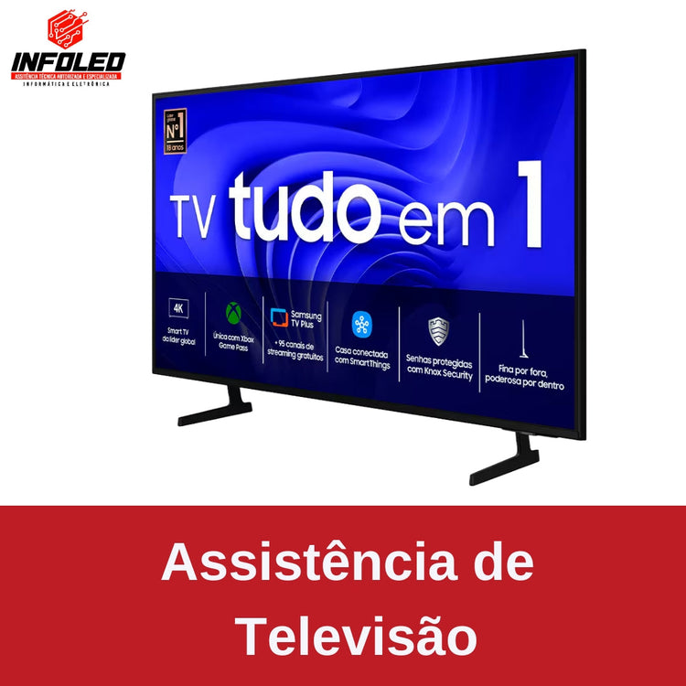 ASSISTÊNCIA DE TELEVISÃO